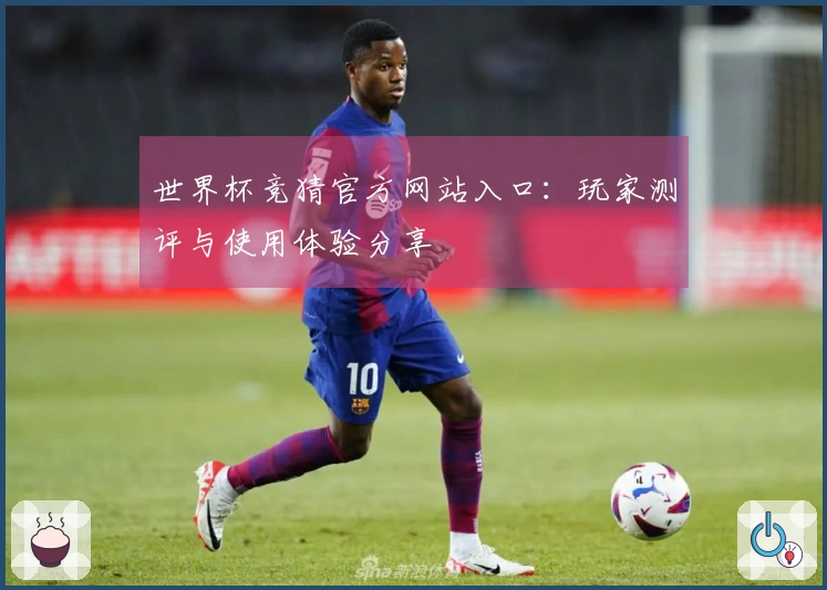 世界杯竞猜官方网站入口：玩家测评与使用体验分享