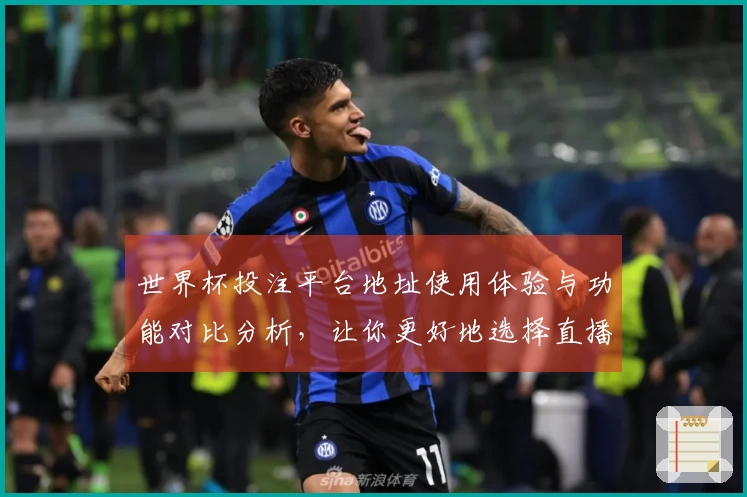 世界杯投注平台地址使用体验与功能对比分析，让你更好地选择直播平台