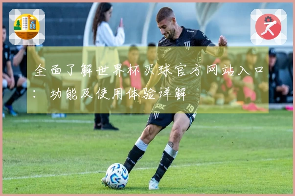 全面了解世界杯买球官方网站入口：功能及使用体验详解