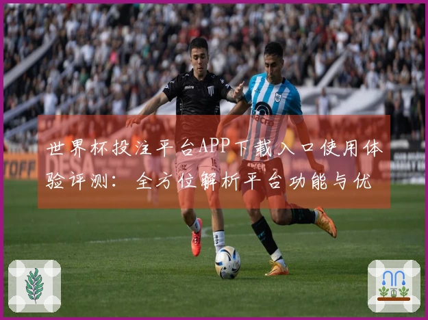 世界杯投注平台APP下载入口使用体验评测：全方位解析平台功能与优势