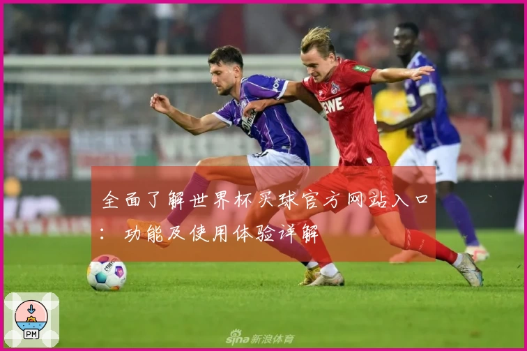 全面了解世界杯买球官方网站入口：功能及使用体验详解